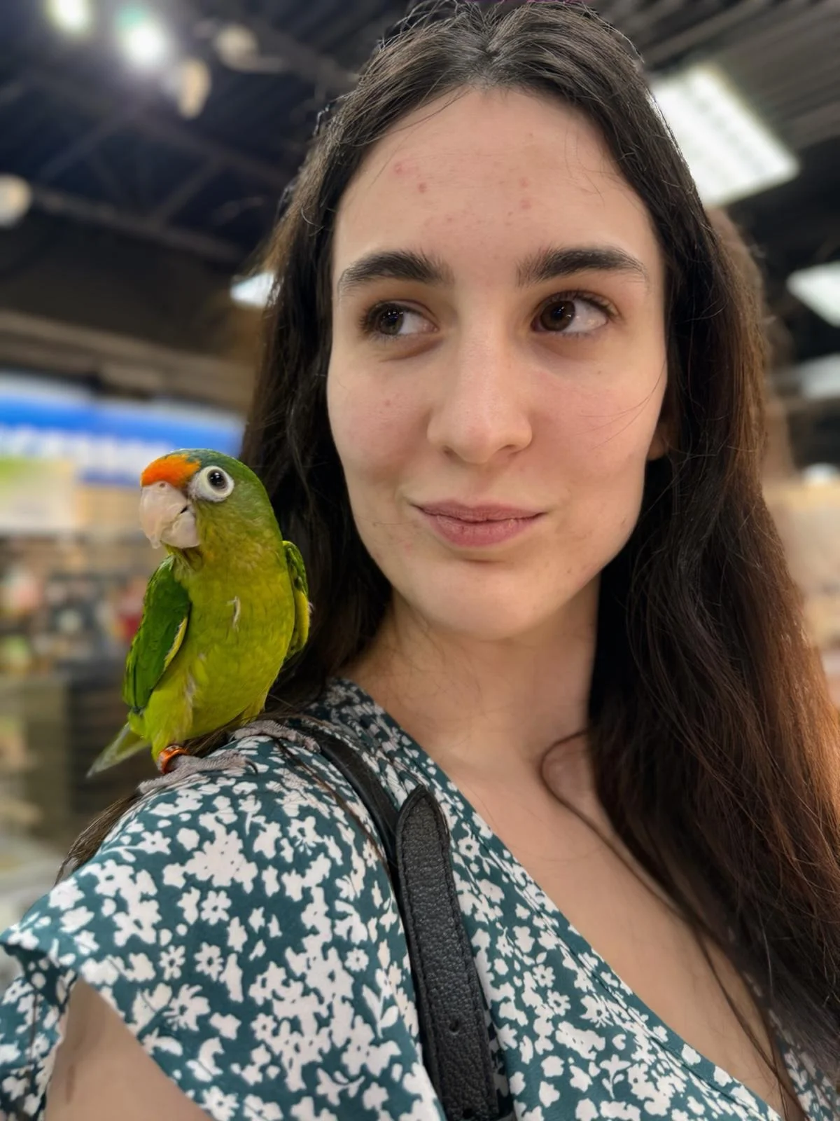 Buy Exotic Birds For Sale