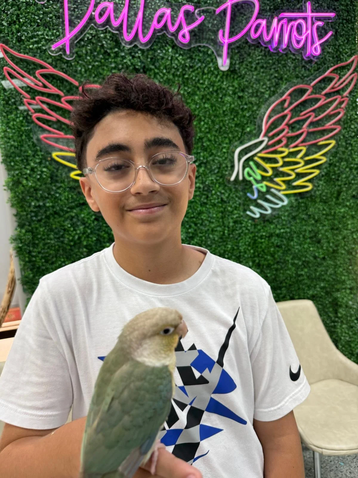 Buy Exotic Birds For Sale