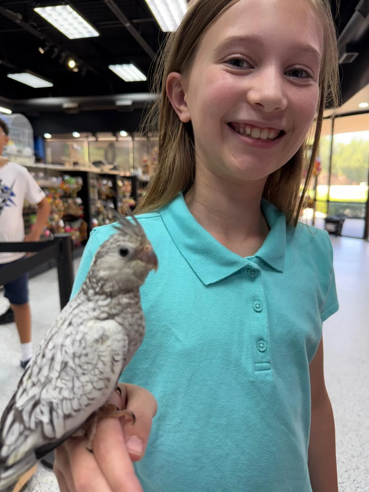 Buy Exotic Birds For Sale
