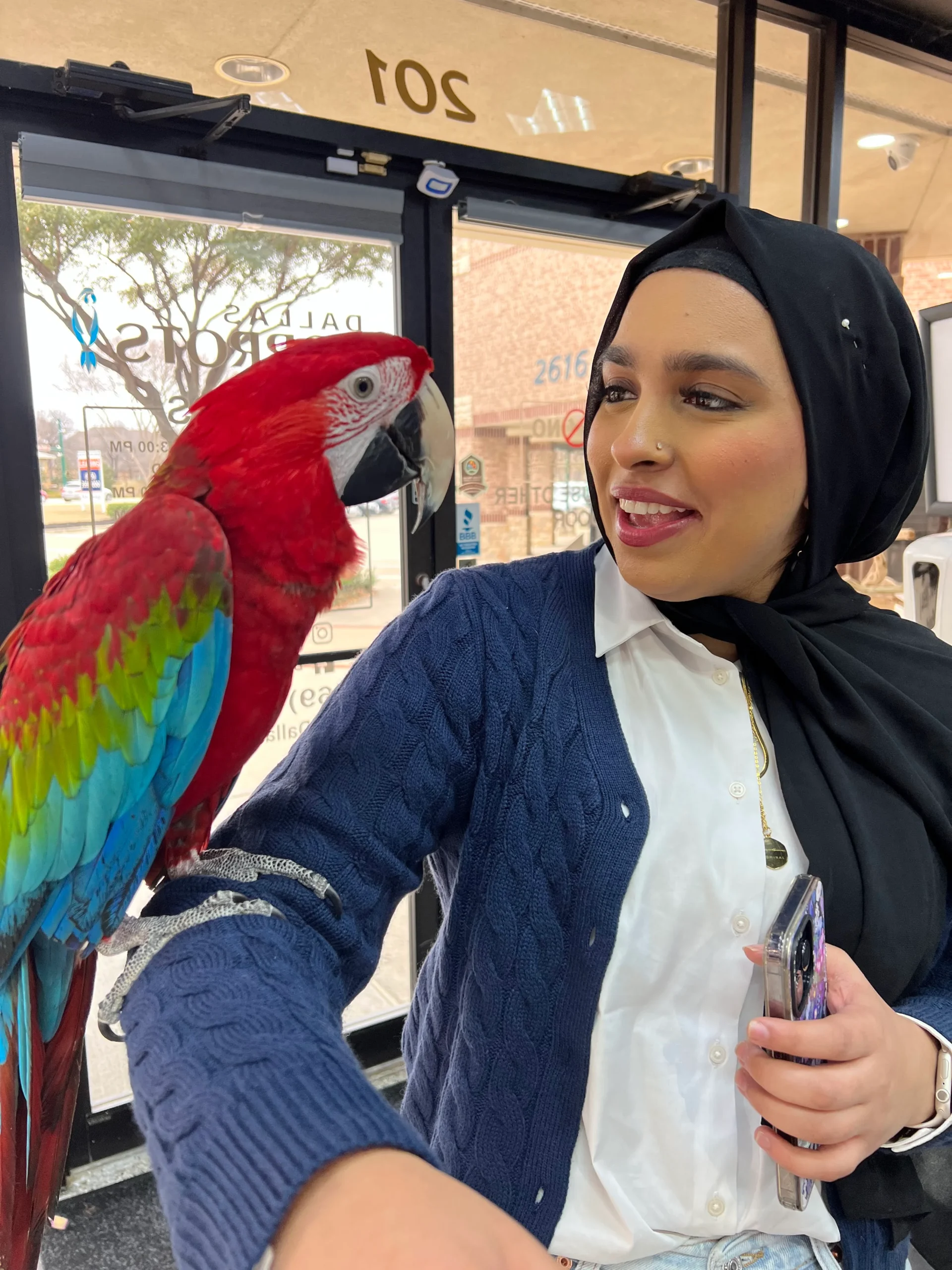 Buy Exotic Birds For Sale